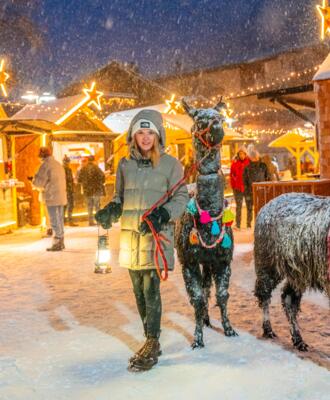 Mallnitzer_Bergadvent_2023-869 Person führt ein Lama über einen verschneiten Weihnachtsmarkt während Schneefall
