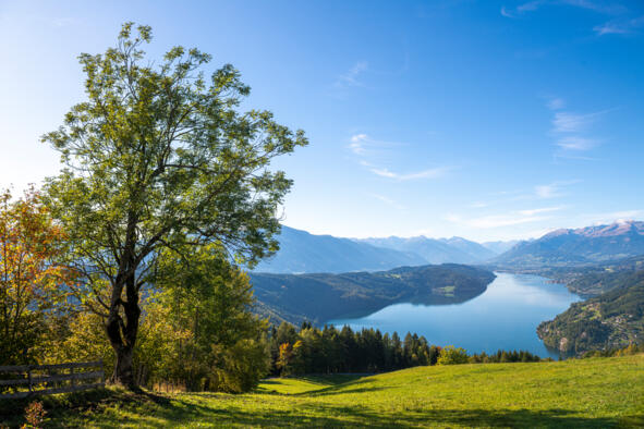 WandernMillstätterSee_Gschriet_MBN_©FranzGerdl_Herbst_004-19 Aussicht über eine Kärntner Seenlandschaft mit einzelnem Baum im Vordergrund